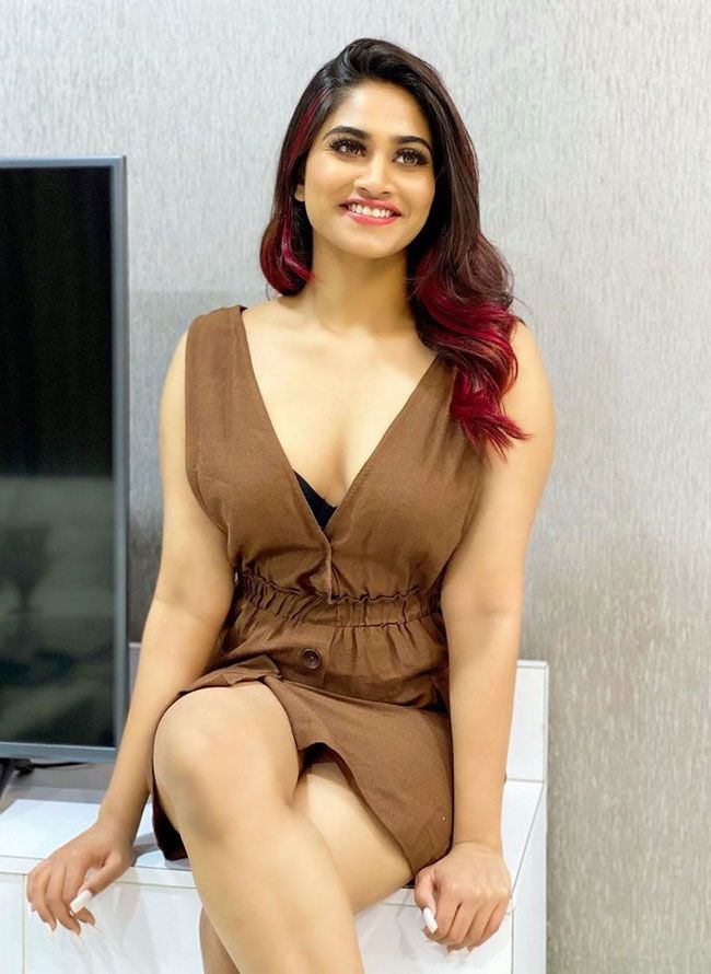 Shivani Narayanan Posted Latest Photos In Instagram